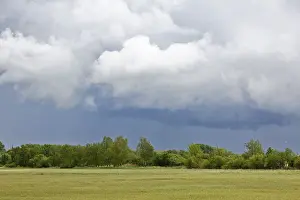 Peenetal River Landscape Park Prints: Grey clouds float over a green meadow lined with trees