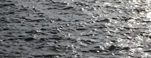 Europe Waterfront Scene Prints: Grey water surface with small waves