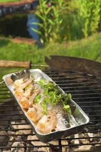 Orange Colored Pastry Prints: Grilled trout