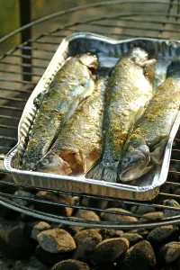 Gourmet Lunch Ideas Prints: Grilled trouts