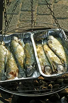Fish Nutrition Facts Prints: Grilled trouts