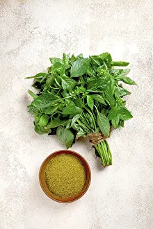 Top View Photography Prints: Ground green basil, in a ceramic bowl