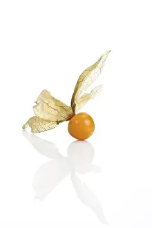 Balanced Diet Vitamins Prints: Groundcherry, Ground Cherry (Physalis)