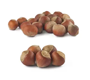 Appetizing Food Prints: Two group of hazelnuts isolated on white background