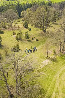 Symbolic Tree Image Prints: Group of people standing in a clearing surrounded by trees in a spring setting