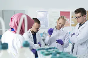 Scientific Researcher Prints: Group of scientists working at the laboratory