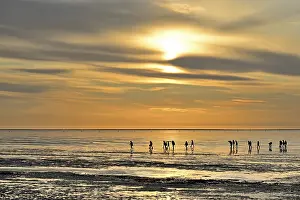 UNESCO World Natural Heritage Germany Prints: Guided mudflat tour in the evening hours