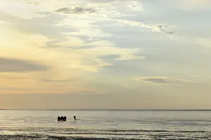 Central European Nature Reserves Prints: Guided mudflat tour in the evening hours