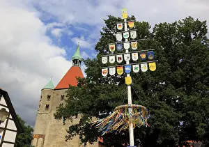 Romanesque Church Building Prints: Guild tree in front of St. Bonifatius