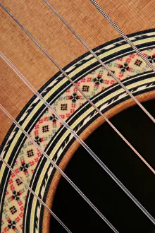 Music Instrument Detail Prints: Guitar
