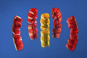 Multicolored Candies Prints: Five gummi bears