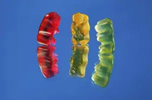Colorful Candy Prints: Three gummi bears