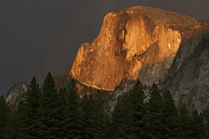 Half Dome Yosemite Prints: Half Dome illuminated by setting sun