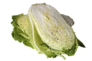Close Up Detail Prints: Half head of Beijing cabbage on white background