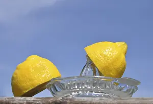 Lemon Squeezer Prints: Two halfs of a lemon on a lemon squeezer