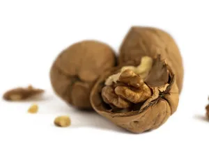 White Background Walnuts Prints: Halves and a bunch of walnuts on a white background close up