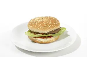 Hamburger Meal Prints: Hamburger