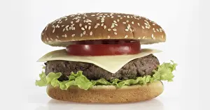 High Calorie Fast Food Prints: Hamburger against White Background