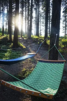 Nature Tourism Photography Prints: Hammock during a hike in the forest