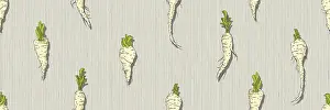 Healthy Eating Patterns Prints: Hand drawn Parsnip seamless pattern