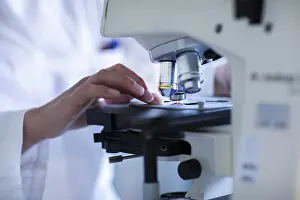 Female Lab Technician Prints: Hand of a lab technician with microscope and sample working in a lab with light microscope
