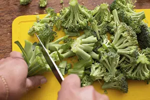 Cabbage Vegetable Images Prints: Hands cutting broccoli cabbage