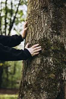 Tree Trunk Texture Prints: Hands gently touch the mossy surface of a tree trunk