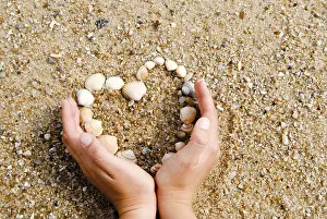 Conch Prints: Hands Surrounding a Heart of Shells Print