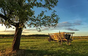 Serene Countryside Scene Prints: Hay wagon, apple tree, sunset, flatness