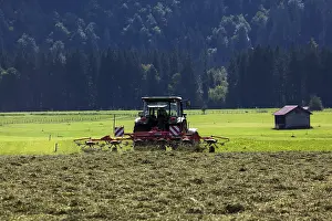 Southern Germany Farming Prints: Haymaking with tractor, Oberstdorf