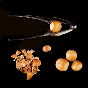 Hazelnut Nutrition Prints: Hazel nuts with nutcracker
