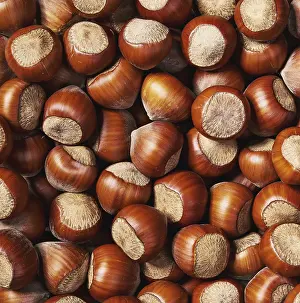 Hazelnut Background Prints: Hazelnut background close-up, top view