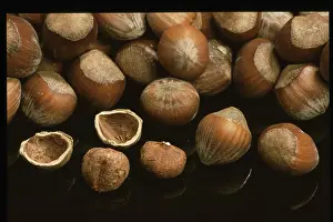 Hazelnut Nutrition Prints: Hazelnuts