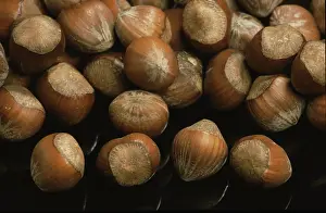 Empty Grocery Store Prints: Hazelnuts
