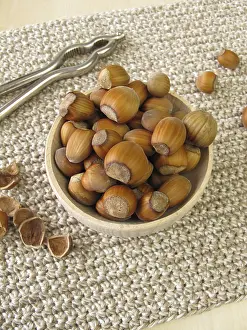 Deserted Meal Prints: Hazelnuts