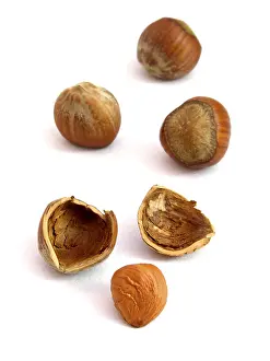 Nutrition Facts Prints: A few hazelnuts