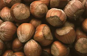 Empty Grocery Store Prints: Hazelnuts, Hazelnuts