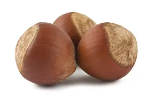 Single Colored Background Prints: Three hazelnuts isolated on white background