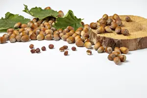 Nut Photography Prints: Hazelnuts in and without shell on and next to wooden disc