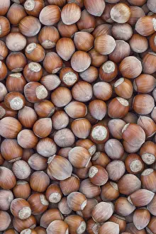 Empty Dessert Table Prints: Hazelnuts. Stack of hazelnuts. Food background