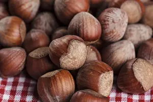 Hazelnut Plant Prints: Many whole hazels