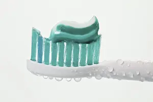 Dental Care Prints: Head of a toothbrush with toothpaste