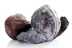 Red Cabbage Prints: Two heads of red cabbage