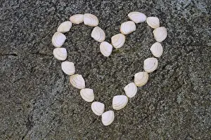 Scottish Nature Photography Prints: A heart formed from shells on a stone surface