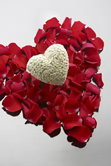 Valentine's Day Decoration Prints: Heart with roses
