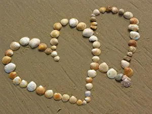 Conch Prints: Two Hearts Made of Shells on Sand Print