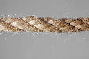 Ornamental Hemp Plant Prints: Hemp rope