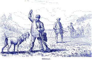 Historical Hunting Scenes Prints: Hen hunt, partridges, driven hunt