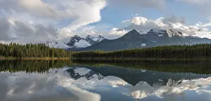 Banff National Park Alberta Prints: Herbert Lake, lake with reflection of the Bow Range