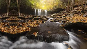 Tropical Waterfall Landscape Prints: Hidden waterfall in the rainforest